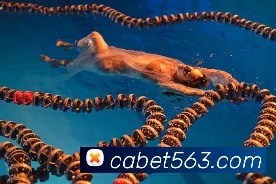 ca亚洲城APP 封面图
